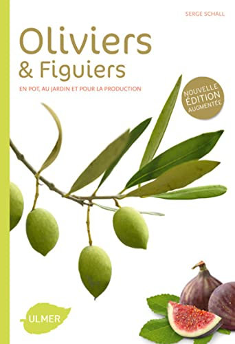 Oliviers et figuiers (NE). En pot, en jardin et pour la production