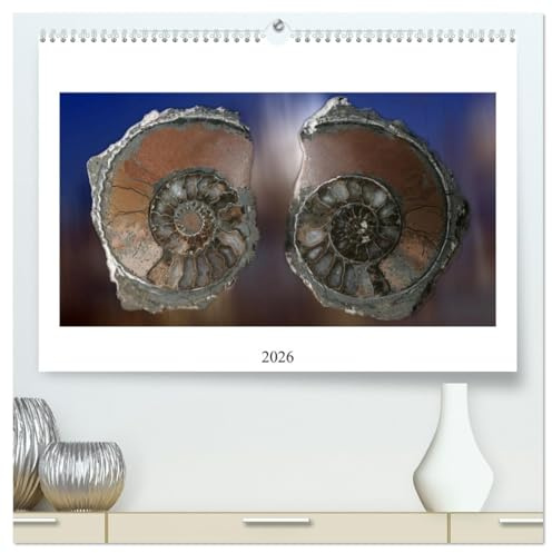 Versteinerte Welt (hochwertiger Premium Wandkalender 2026 DIN A2 quer), Kunstdruck in Hochglanz: Außergewöhnliche Fossilien neu interpretiert (CALVENDO Wissen)