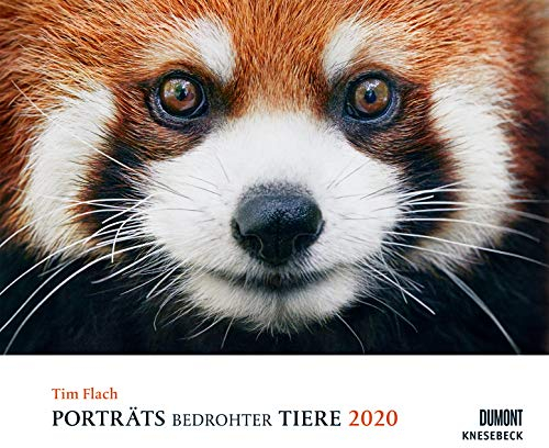 Tim Flach: Porträts bedrohter Tiere 2020 – Tier-Fotografie – Wandkalender 58,4 x 48,5 cm – Spiralbindung