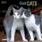 Cool Cats 2023: Kalender 2023 (wonderful world)