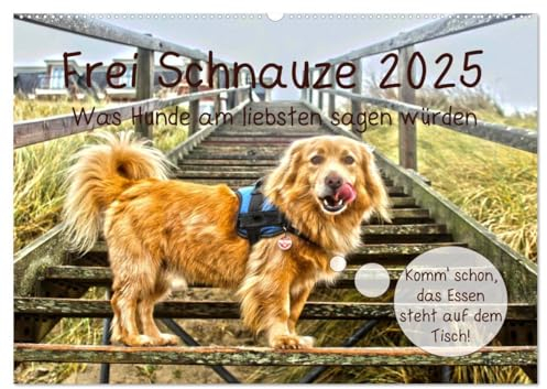 Frei Schnauze 2025. Was Hunde am liebsten sagen würden (Wandkalender 2025 DIN A2 quer), CALVENDO Monatskalender