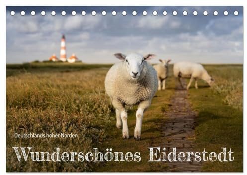 Wunderschönes Eiderstedt (Tischkalender 2026 DIN A5 quer), CALVENDO Monatskalender: Deutschlands hoher Norden zeigt zu jeder Jahreszeit seine ... und mit bezauberndem Licht. (CALVENDO Natur)