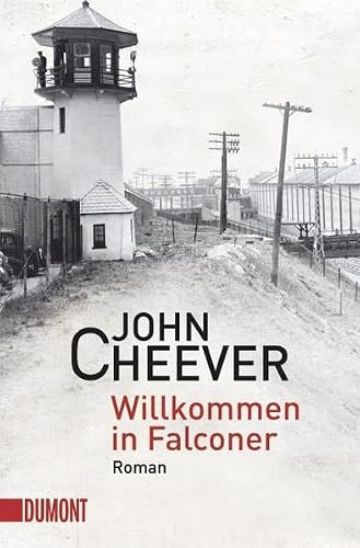 Willkommen in Falconer: Roman