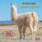 No Drama Llama 2024: Kalender 2024 (Artwork Edition)