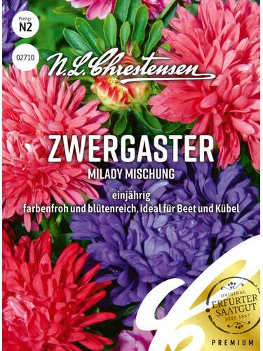 Zwergaster Milady Mischung, N.L. Chrestensen Blumensamen Mischung für Garten und Wiese