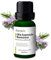 Olio Essenziale Rosmarino 15ml AMYRON | Rosmarinus Officinalis | Naturale E Puro Al 100% Ideale Per Aromaterapia E Uso Terapeutico | Diffusore Oli Essenziali | Massaggi | Uso Alimentare Senza OGM.