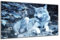 DARO Design - Wand-Bild auf 6mm HDF 84x56 cm Eis-Wolf - Wand-Deko Bilder Geschenk