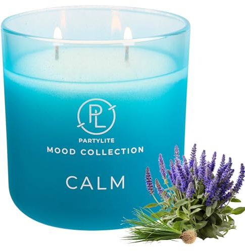 PartyLite Calm Ombre Bougie en pot – 2 mèches, anis étoilé tranquille, muscade, sauge bleue, fleur de bergamote et ambre – 24 à 48 heures de combustion, design ombré élégant