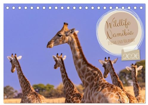 Wildlife Namibia - Etosha und Kalahari (Tischkalender 2026 DIN A5 quer), CALVENDO Monatskalender: Faszinierende Tierfotos, die begeistern (CALVENDO Tiere)