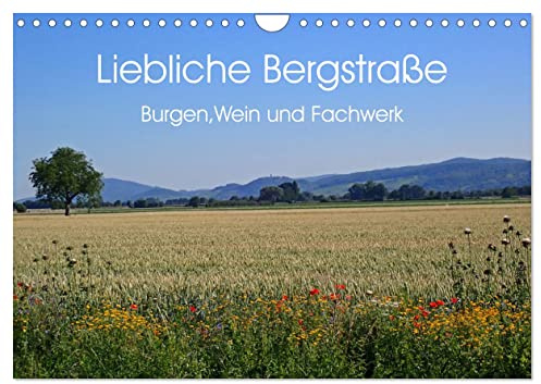 Liebliche Bergstraße - Burgen, Wein und Fachwerk (Wandkalender 2026 DIN A4 quer), CALVENDO Monatskalender: Weinberge,Burgen und kleine Städte prägen ... Natur und ihrer Gastlichkeit. (CALVENDO Orte)