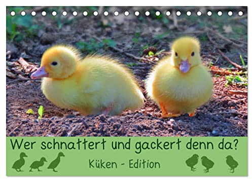 Wer schnattert und gackert denn da? - Küken-Edition (Tischkalender 2026 DIN A5 quer), CALVENDO Monatskalender: Süße, flauschige Küken zum Verlieben (CALVENDO Tiere)