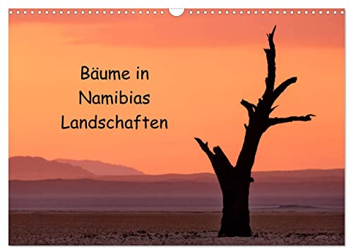 Bäume in Namibias Landschaften (Wandkalender 2026 DIN A3 quer), CALVENDO Monatskalender: Der Baum in verschiedenen Landschaften Namibias. (CALVENDO Natur)