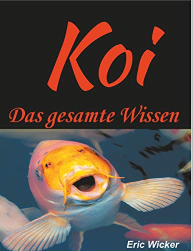 Die Koiwelt: Das gesamte Wissen