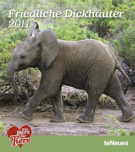 Friedliche Dickhäuter 2011: Ein Herz für Tiere. Elefanten-Fotokalender. Kalendarium viersprachig m. Platz f. kleine Notizen