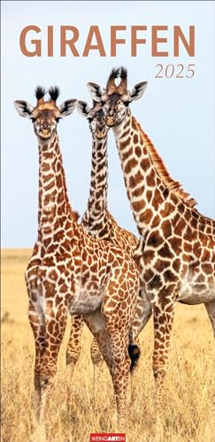 Giraffen Kalender 2025: XL Hochformat. Die beliebten Tiere in einem länglichen Kalender porträtiert. Wandkalender für Tierfreunde. Großformat 33 x 68 cm (Tierkalender Weingarten)