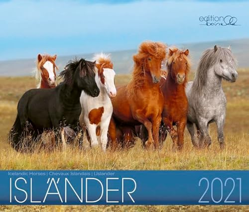Isländer 2021: Isländer Pferde