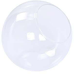 Baoblaze Decorative Modern ball Clear Glass Display Vases Fishbowl Candlestick Air Plant Terrarium Holder