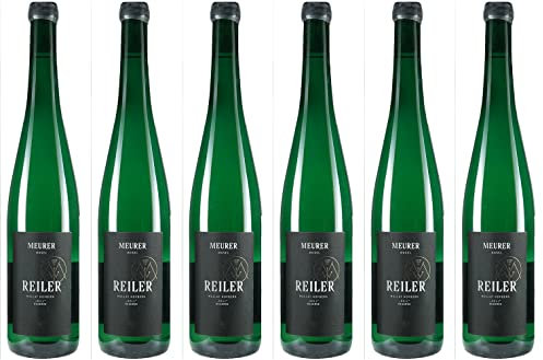 Meurer (Reil an der Mosel) Reiler Mullay-Hofberg „In der Käll“ Reserve 2019 Trocken (6 x 0.75 l)