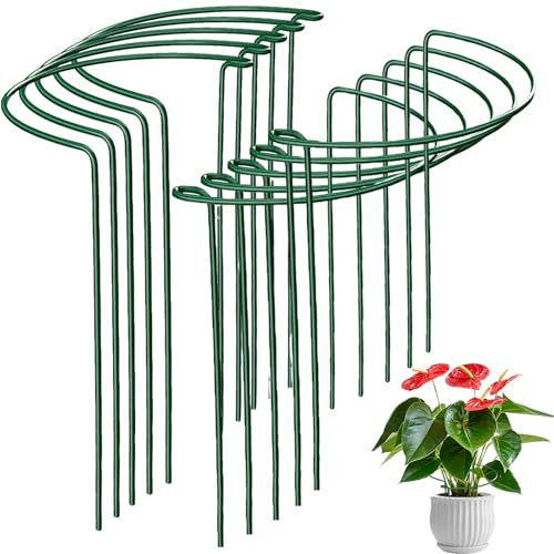 XIEXIESHER 10 Stück Pflanzenstütze, Garten Pflanzenpfähle Metall Halbrund Grüner Pflanzenstützen für Gemüse, Tomaten, Pfingstrosen, Rosen, Hortensien, Blumen(35 x 20 cm)
