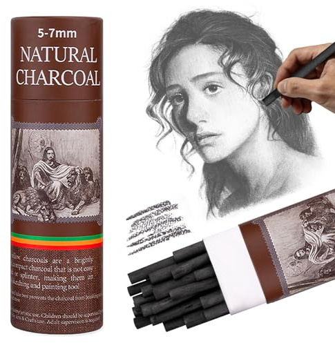 EVNEED 25 Pcs Willow Charcoal Sticks, Soft Black Drawing Charcoal for Sketching and Drawing Art Sketch Artists Supplies,5.7 Inch in Length,5-7mm