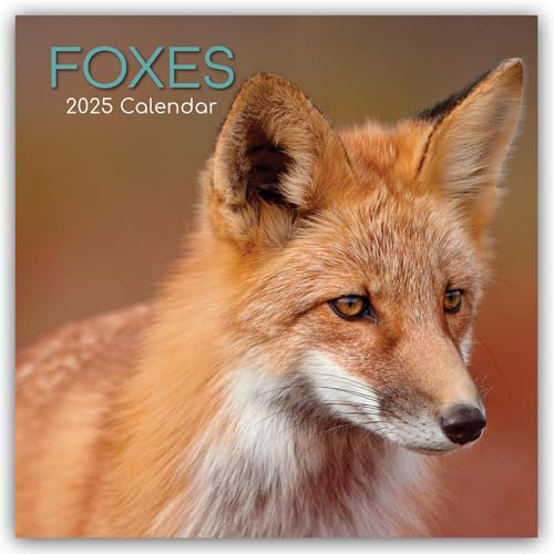 Foxes – Füchse 2025 – 16-Monatskalender: Original The Gifted Stationery Co. Ltd [Mehrsprachig] [Kalender] (Wall-Kalender)