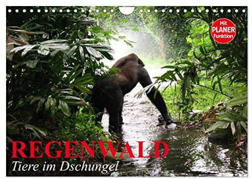 Regenwald. Tiere im Dschungel (Wandkalender 2025 DIN A4 quer), CALVENDO Monatskalender: Die wunderbare Artenvielfalt im Regenwald (CALVENDO Tiere)