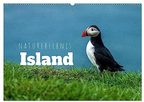 Naturerlebnis Island (Wandkalender 2026 DIN A2 quer), CALVENDO Monatskalender: Panoramen der Insel aus Feuer und Eis (CALVENDO Natur)