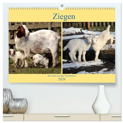 Ziegen - Die Stars aus dem Streichelzoo (hochwertiger Premium Wandkalender 2026 DIN A2 quer), Kunstdruck in Hochglanz: Die meckernden Lieblinge im Tierreich. (CALVENDO Tiere)