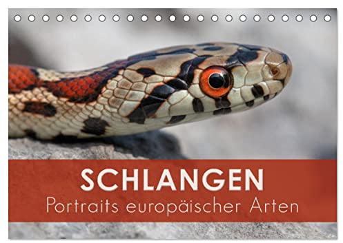 Schlangen - Portraits europäischer Arten (Tischkalender 2026 DIN A5 quer), CALVENDO Monatskalender: Makroaufnahmen von Schlangen aus Europa (CALVENDO Tiere)