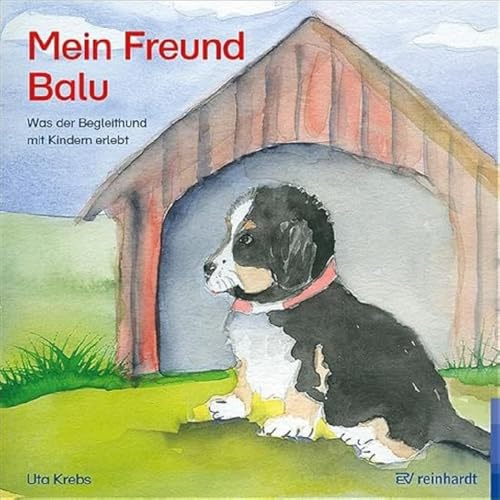 Mein Freund Balu: Was der Begleithund mit Kindern erlebt (reinhardt junior)