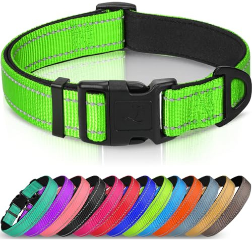 Joytale Hundehalsband Breit Große Hunde Reflektierend, Grün | Weiches Neopren, stufenlos verstellbar, robuste Schnellverschluss-Schnalle, D-Ring, für Gassi, Training & Outdoor, XS–XL