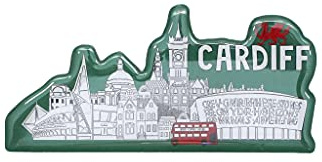 Welsh Wales Cymru Fridge Magnet Sheep Dragon (Cardiff Cityscape)