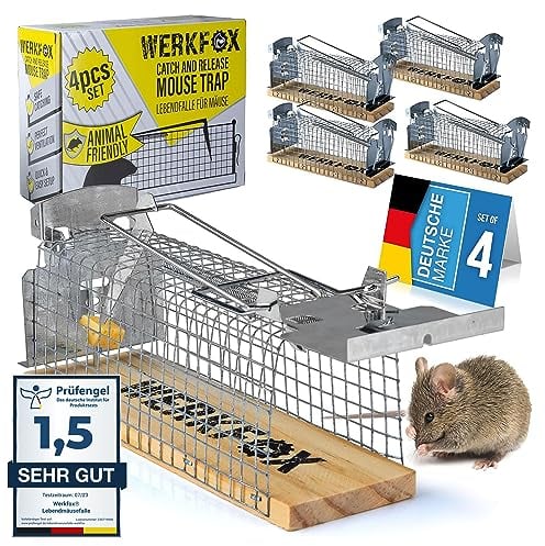 Werkfox® Mausefalle Tierfreundliche Lebendfalle; Lebend-Mäusefalle für Drinnen & Draußen; Humane Wühl-Maus Fang-Methode Wiederverwendbar & Sicher (4 Stück)