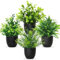 Betylifoy Plantes Artificielles en Pot Mini 4PCS Petites Fausses Plantes Verdure Décor Intérieur Plante Eucalyptus Fausses Plantes en Plastique pour Bureau Maison Salle de Bain (4, Pot Noir)