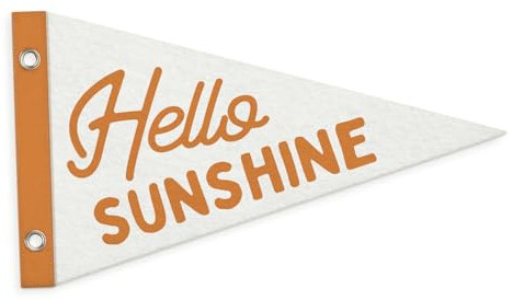 157-banner-flag-sunshinePennant Banner Bandera para colgar en la pared