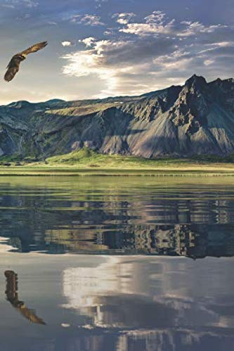 Tagebuch Neuseeland: Neuseeland Journal