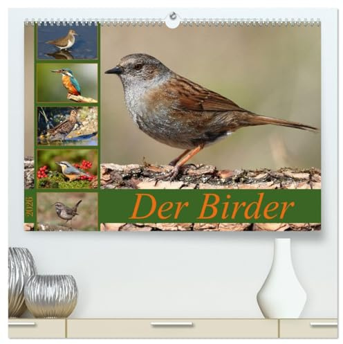 Der Birder (hochwertiger Premium Wandkalender 2026 DIN A2 quer), Kunstdruck in Hochglanz: Ein schönes Geschenk für alle Vogelliebhaber (CALVENDO Tiere)