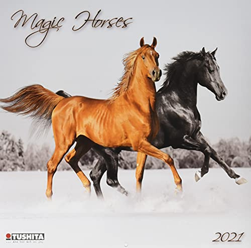 Magic Horses 2021: Kalender 2021 (Wonderful World)