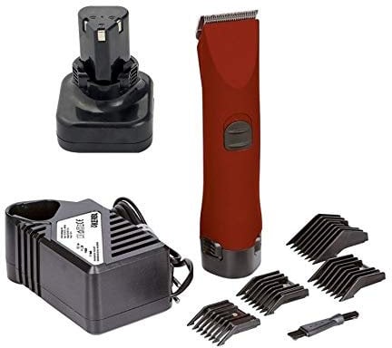 Folk ESQUILADORA Profesional 30W BATERIA mas Accesorios Perros, Caballos 35998, kerbl 18267 (C - Mas Batería Extra 4000 mAh)