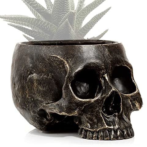 mtb more energy Macetero decorativo con calavera antigua, altura aprox. 11 cm, cráneo