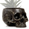 mtb more energy Deko Totenkopf Blumentopf ''Ancient Skull'' - Höhe ca 11 cm - Totenschädel Pflanztopf Übertopf