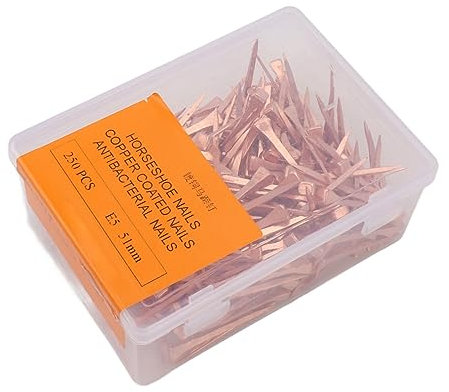 Haofy 250Pcs Chiodi a Ferro di Cavallo Rame Placcato Antiruggine Equipaggiamento per Equitazione Articoli per Animali Domestici, Chiodi per Ferro di Cavallo Artigianato Chiodi di (51mm