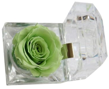 BESTonZON 1 Fiore Stabilizzato Rosa Eterna Rosa Mai Appassita Per San Compleanno E Anniversario Con Scatola A Cassetto (Verde Chiaro)