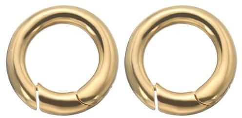 PATIKIL Spring O Rings, 2PCS 3/8 Inch(10mm) ID Brass Trigger Snap O-Rings Clip Keychain Keyrings Snap Hook Buckle for DIY Leather Crafts, Purses, Bags