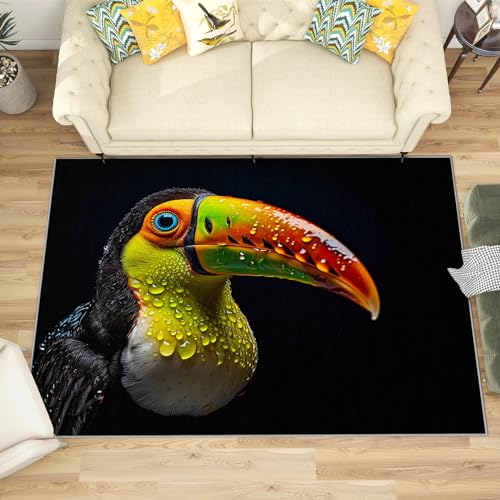 Tukan Deko - Teppich Wohnzimmer Schlafzimmer Tukan, Kleiner Teppich Tropische Vogel, Weich Kurzflor & Waschbar & rutschfest Fussmatte Innen, Kinderteppich 50x80 cm