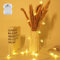 FFZZKJ Star Fairy Lights Battery Operated with Timer Fairy Lights for Bedroom IP65 Waterproof Indoor Outdoor for Christmas, 3M/10Ft 20LED, Warm White