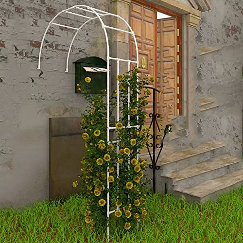 Arche de rose élégante en métal pour décoration de jardin - Idéale pour plantes grimpantes et support d'arbre - Demi-arche de jardin - Blanc - 180 x 240 cm