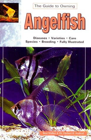 The Guide to Owning Angelfish: Disease, Varieties, Care, Species, Breeding: Keeping and Breeding Them in Capitivity