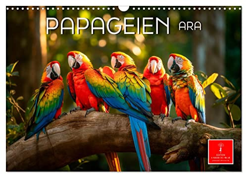 Papageien - Ara (Wandkalender 2026 DIN A3 quer), CALVENDO Monatskalender: Eindrucksvolle Bilder der exotischen Vögel. (CALVENDO Tiere)