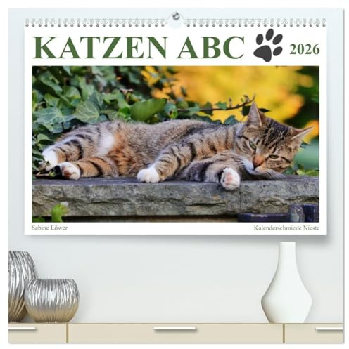 Katzen ABC (hochwertiger Premium Wandkalender 2026 DIN A2 quer), Kunstdruck in Hochglanz: Katzenwissen humorvoll aufbereitet (CALVENDO Tiere)